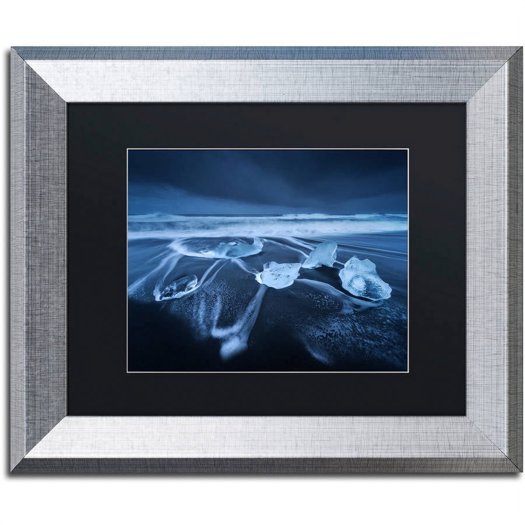 Trademark Fine Art "The Ice Age" Canvas Art by Mathieu Rivrin, Black Matte, Silver Frame