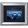 thumbnail image 1 of Trademark Fine Art "The Ice Age" Canvas Art by Mathieu Rivrin, Black Matte, Silver Frame, 1 of 4