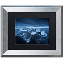 Trademark Fine Art "The Ice Age" Canvas Art by Mathieu Rivrin, Black Matte, Silver Frame