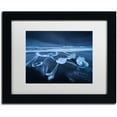 thumbnail image 1 of Trademark Fine Art "The Ice Age" Canvas Art by Mathieu Rivrin, White Matte, Black Frame, 1 of 4