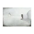 thumbnail image 1 of Trademark Fine Art 'The Igloo' Canvas Art by Maja Lindber, 1 of 3
