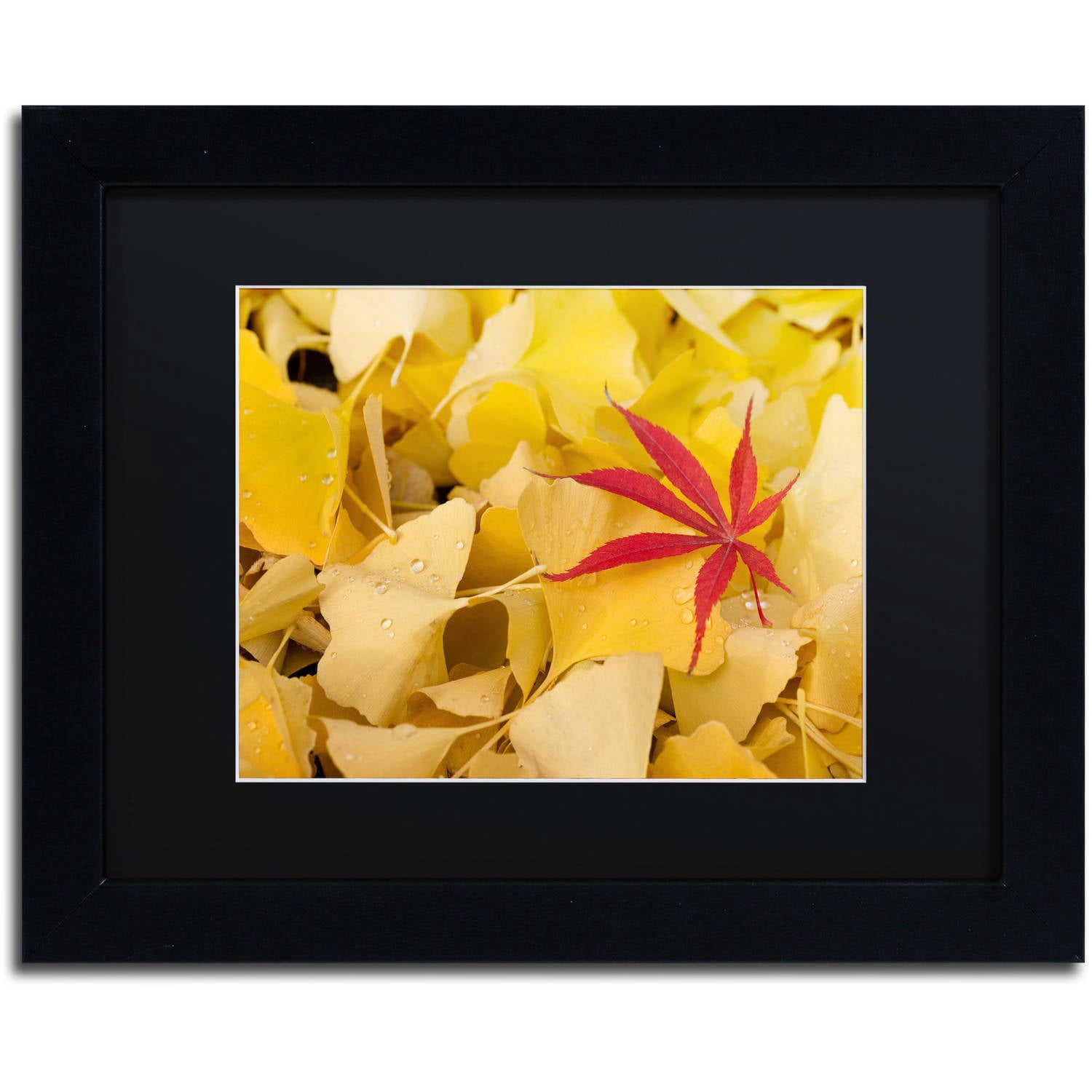 Trademark Fine Art "The Intruder" Canvas Art by Philippe Sainte-Laudy Black Matte, Black Frame