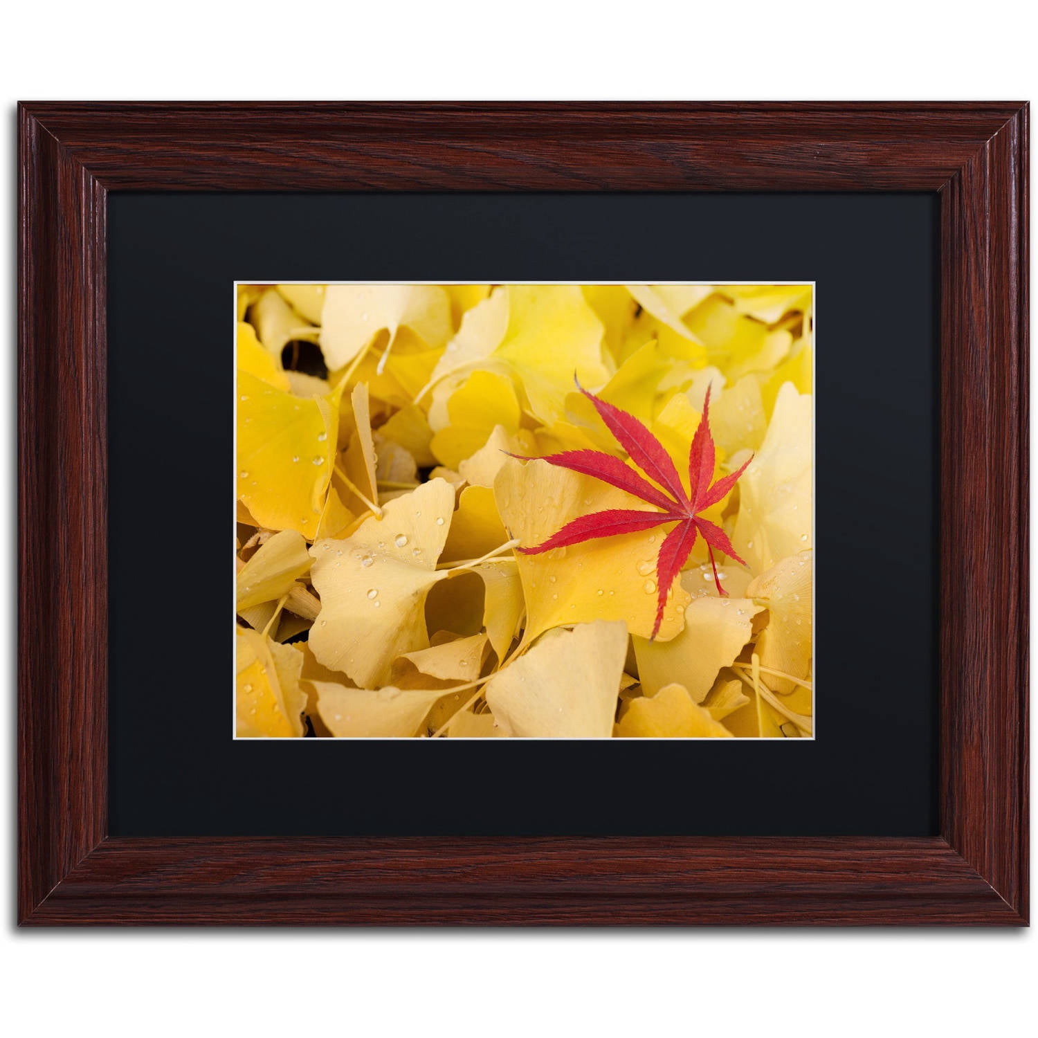 Trademark Fine Art "The Intruder" Canvas Art by Philippe Sainte-Laudy Black Matte, Wood Frame