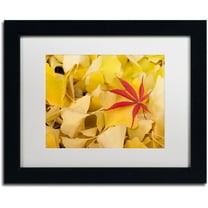 Trademark Fine Art "The Intruder" Canvas Art by Philippe Sainte-Laudy White Matte, Black Frame