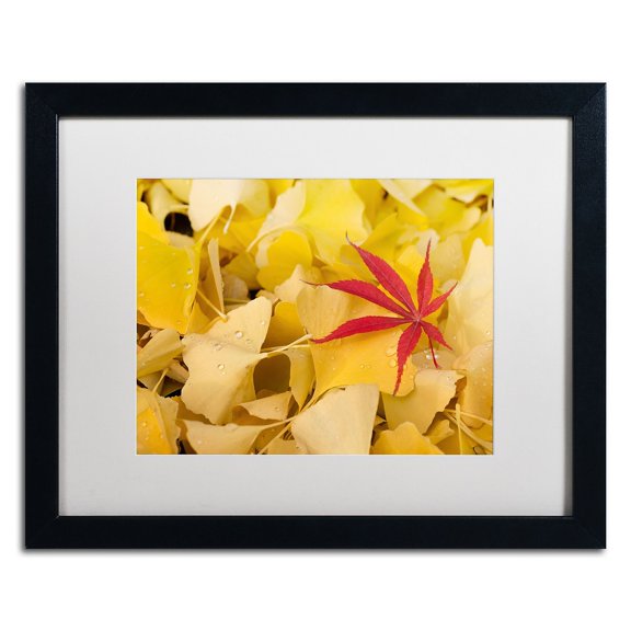 Trademark Fine Art "The Intruder" Canvas Art by Philippe Sainte-Laudy White Matte, Black Frame