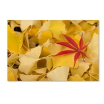 Trademark Fine Art "The Intruder" Canvas Art by Philippe Sainte-Laudy