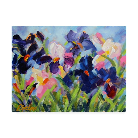 Trademark Fine Art 'The Iris Show' Canvas Art by Pamela Gaten