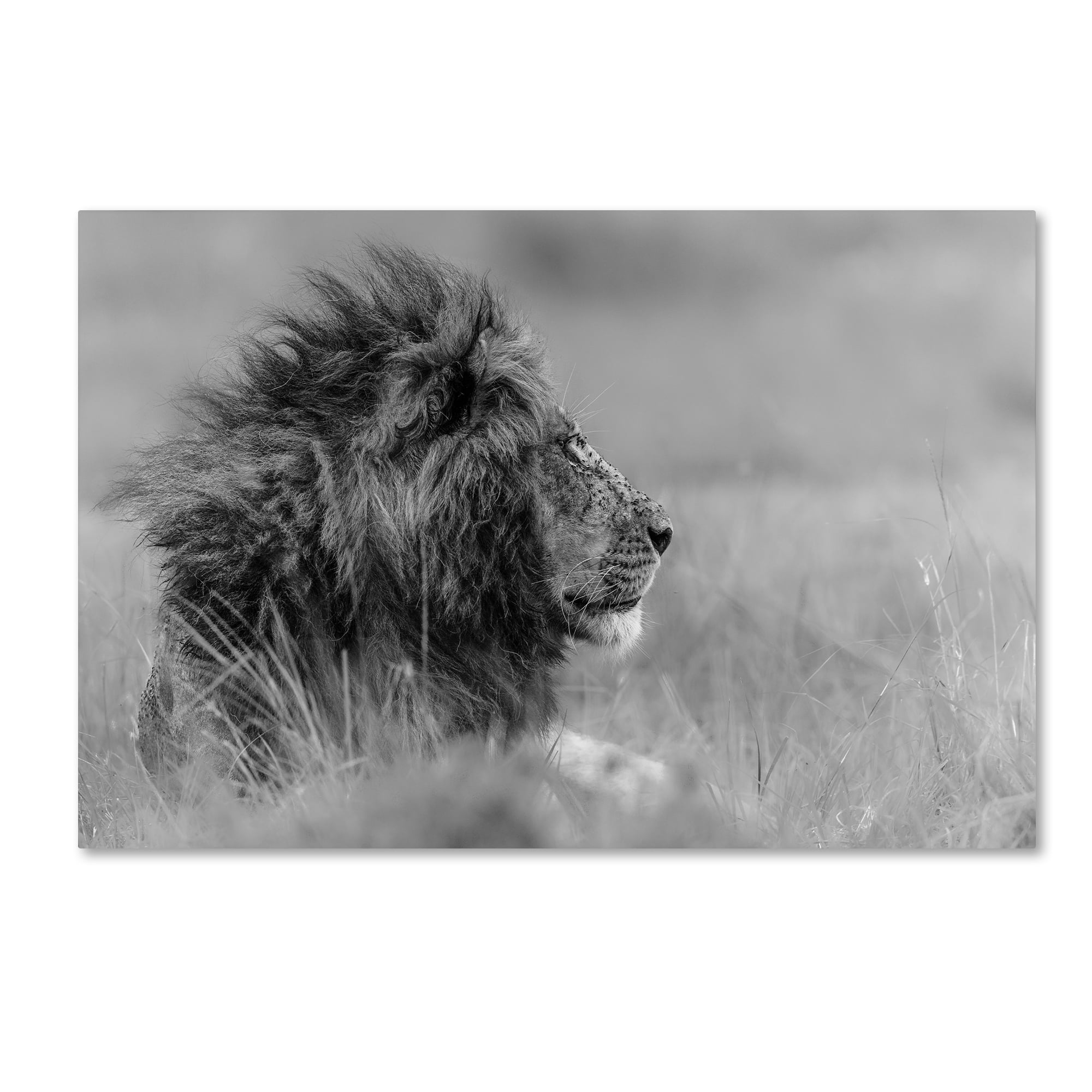 The King Is Alone Black and White Framed Canvas Art