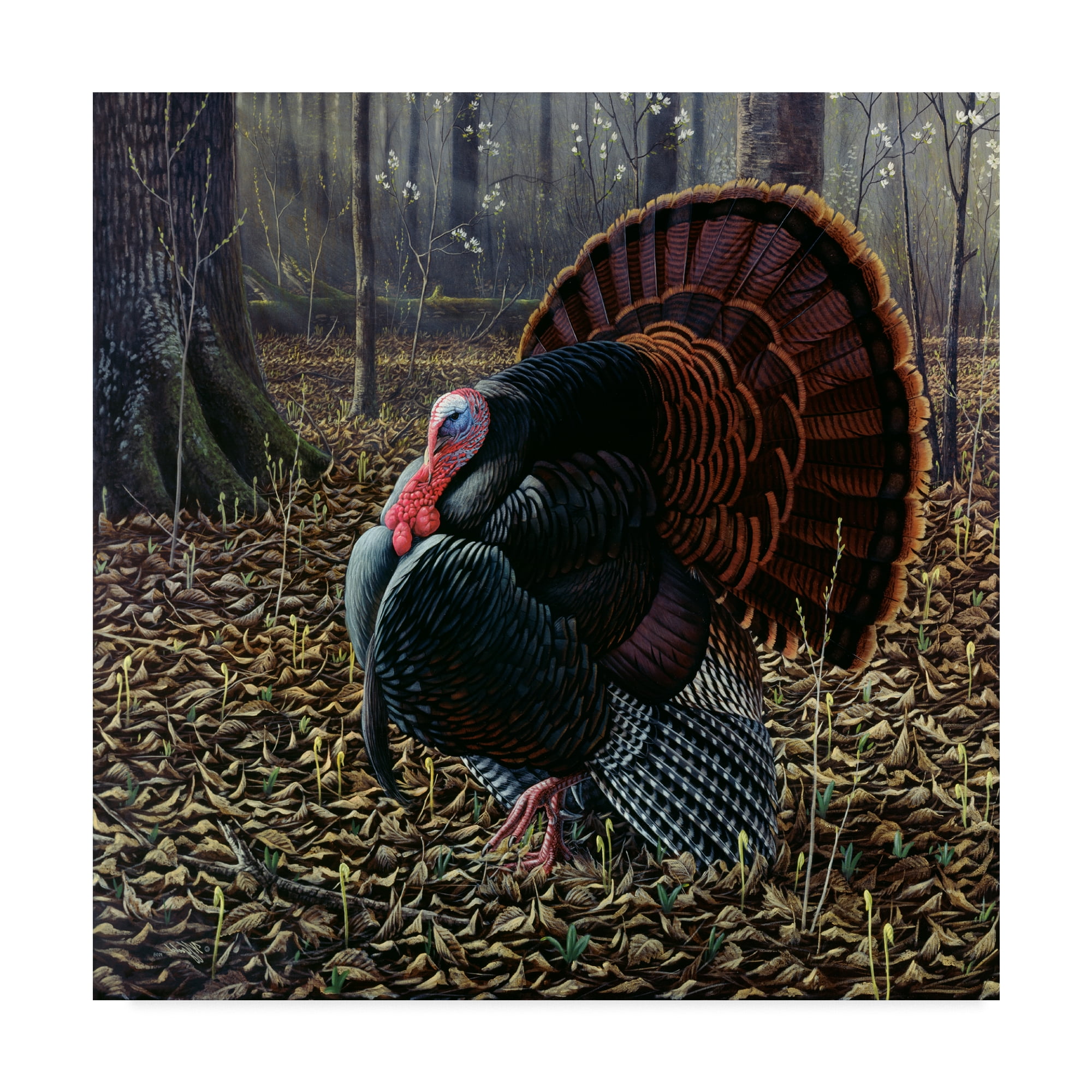 Trademark Fine Art 'The King Of Spring Wild Turkey' Canvas Art by Wilhelm Goebel