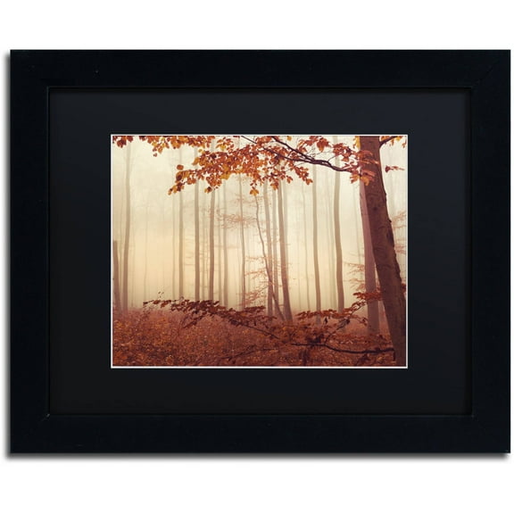 Trademark Fine Art "The Last of Fall" Canvas Art by Philippe Sainte-Laudy Black Matte, Black Frame