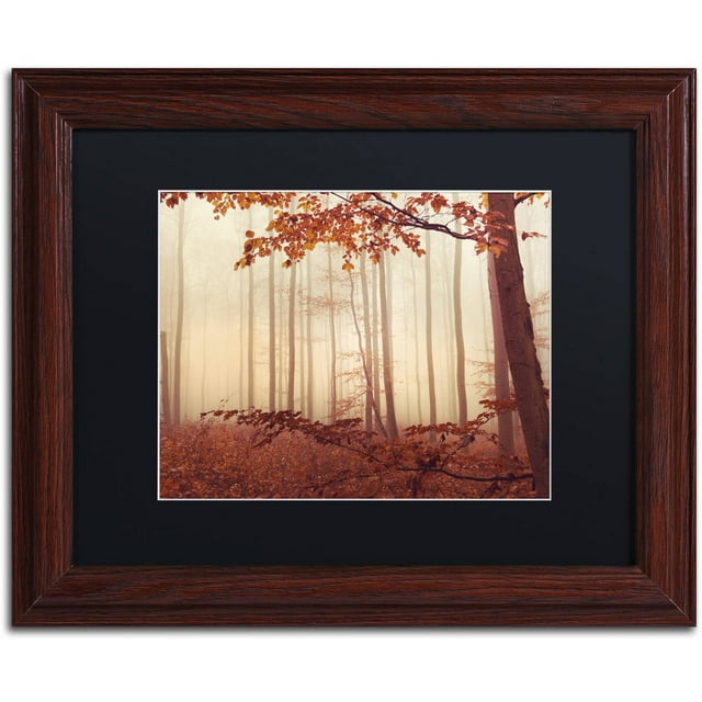 Trademark Fine Art "The Last of Fall" Canvas Art by Philippe Sainte-Laudy Black Matte, Wood Frame