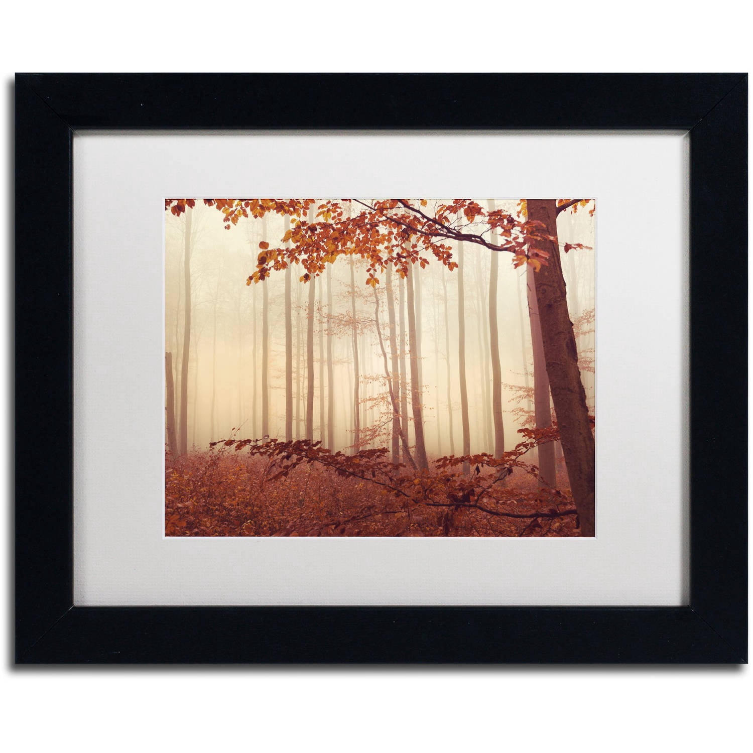 Trademark Fine Art "The Last of Fall" Canvas Art by Philippe Sainte-Laudy White Matte, Black Frame
