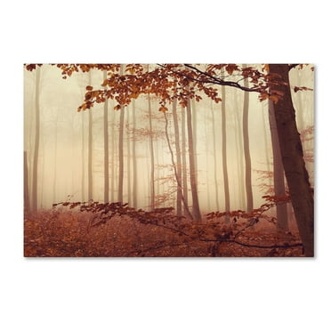 Trademark Fine Art "The Last of Fall" Canvas Art by Philippe Sainte-Laudy