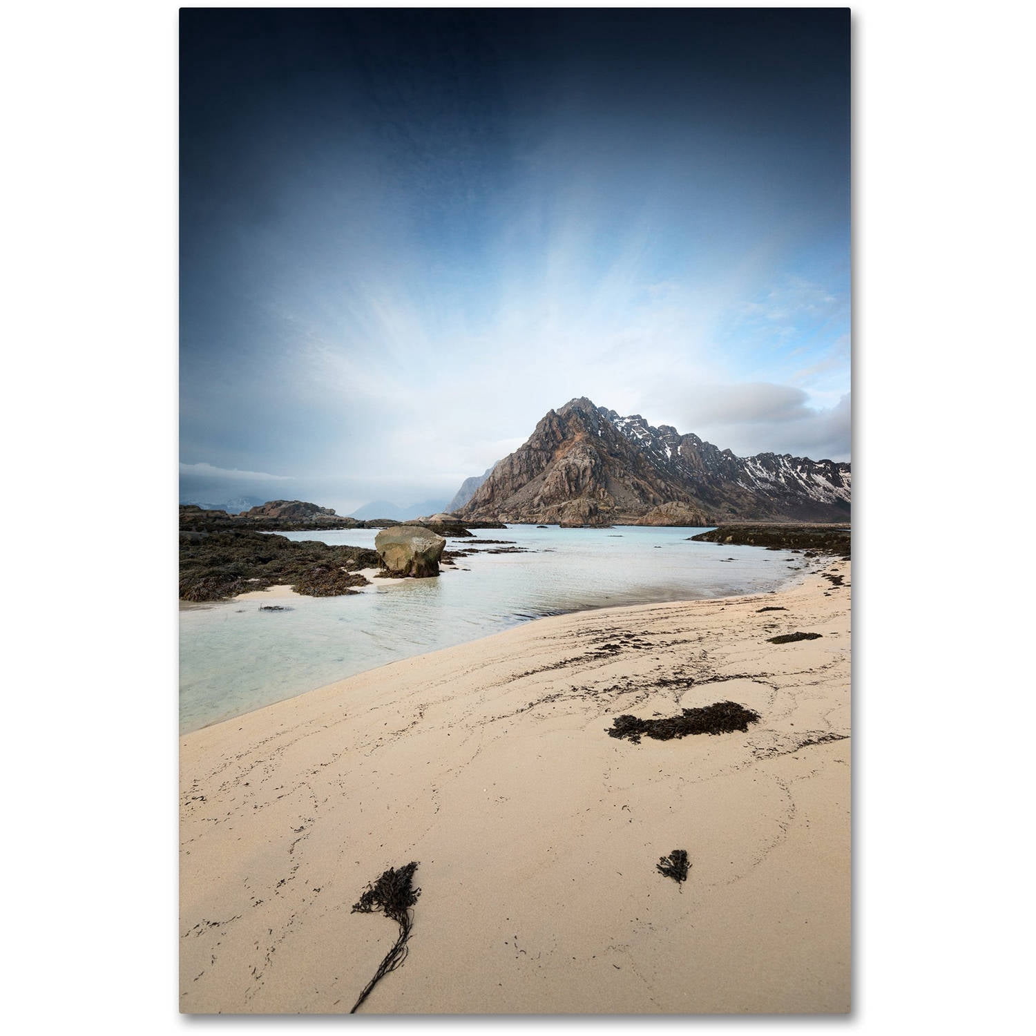 Trademark Fine Art "The Little Things" Canvas Art by Philippe Sainte-Laudy