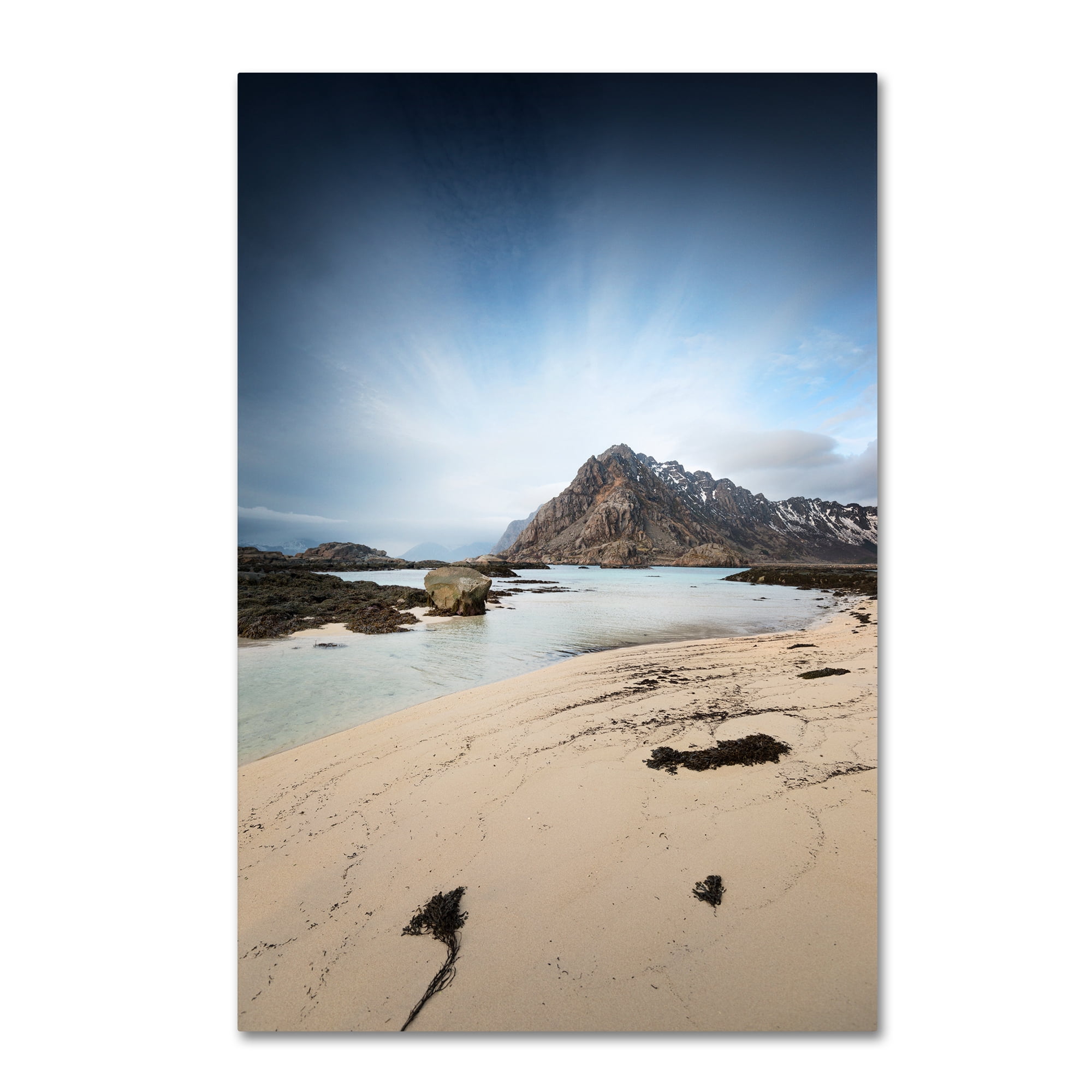 Trademark Fine Art "The Little Things" Canvas Art by Philippe Sainte-Laudy