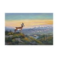 thumbnail image 1 of Trademark Fine Art 'The Lookout' Canvas Art by Allen Jimmerson, 1 of 3
