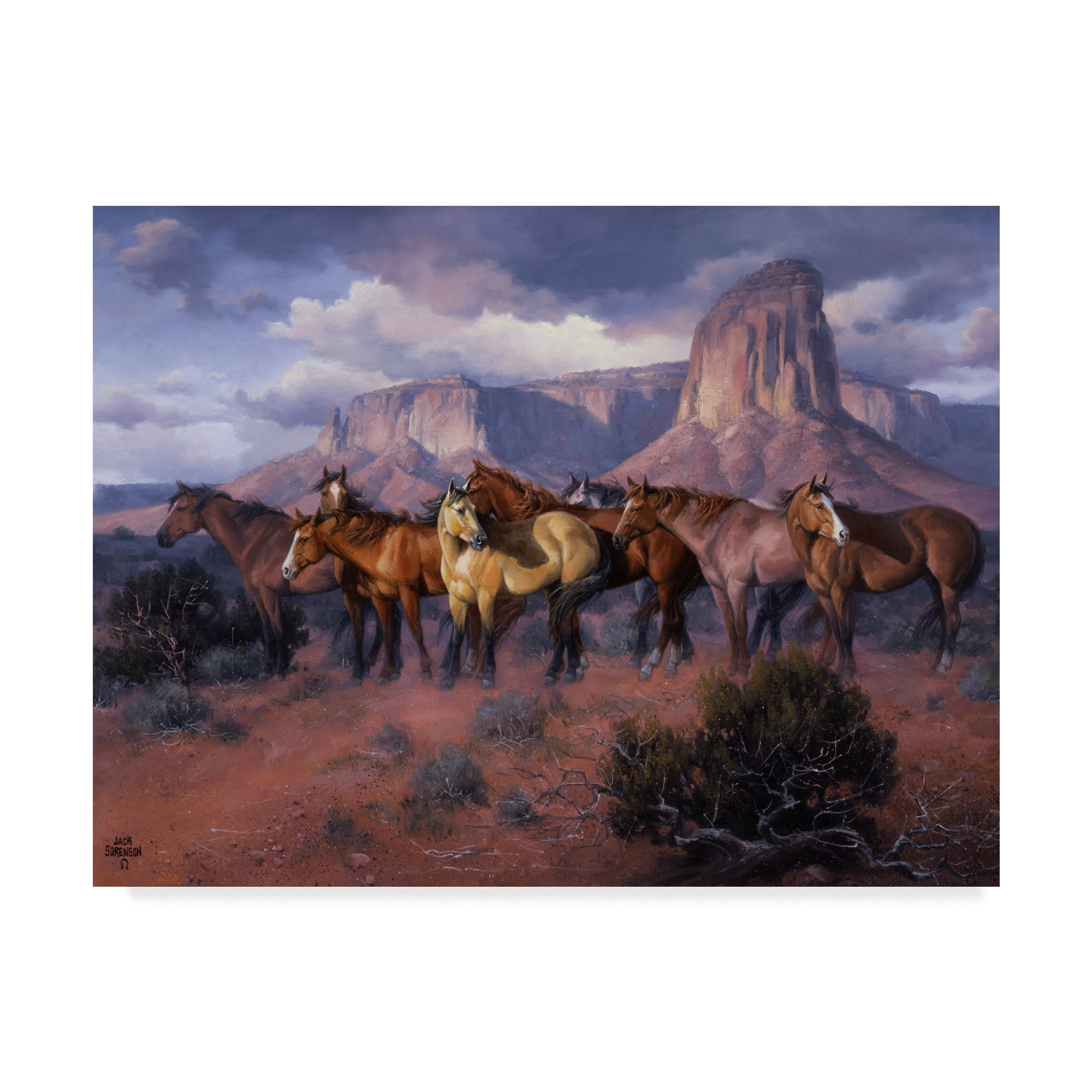 Trademark Fine Art 'The Lookouts' Canvas Art by Jack Sorenson