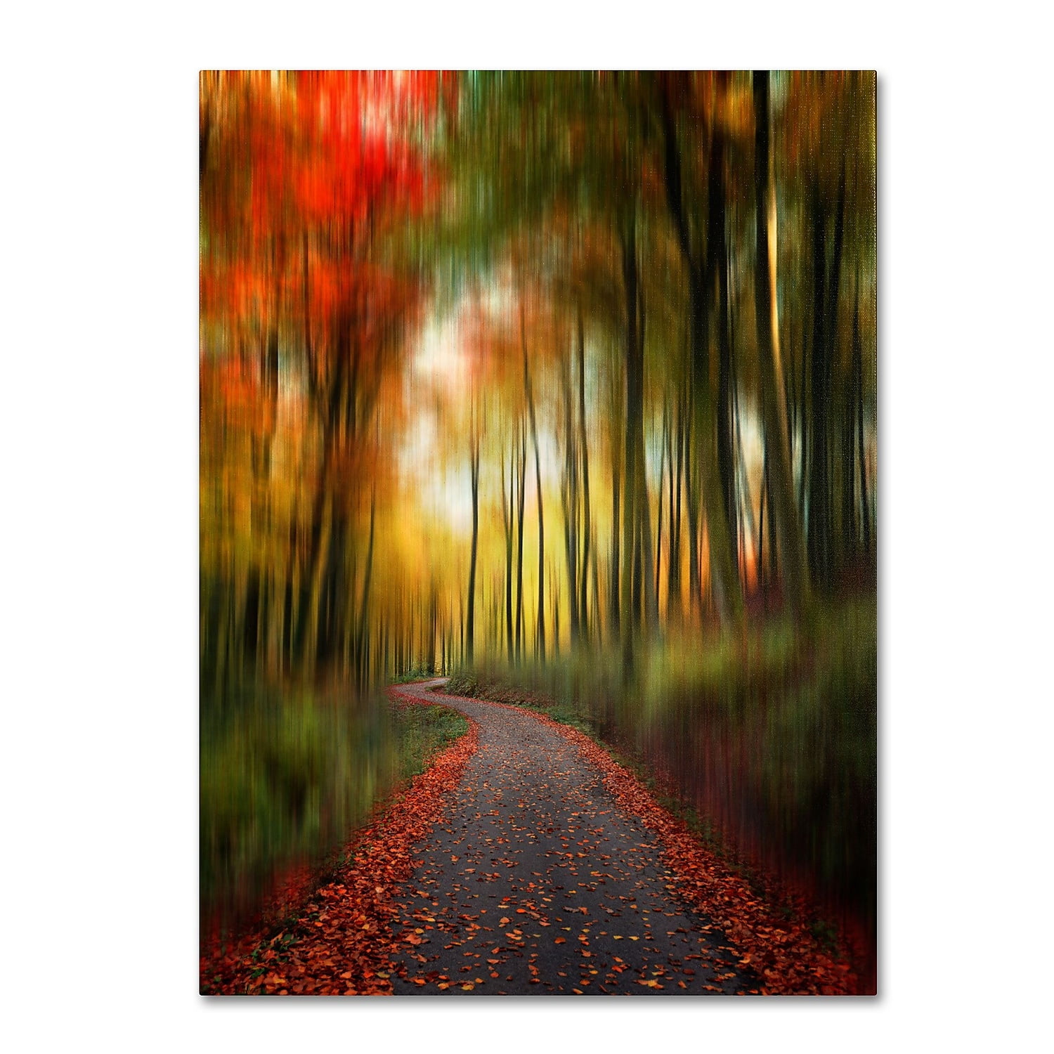 Trademark Fine Art "The Lost Path" Canvas Art by Philippe Sainte-Laudy