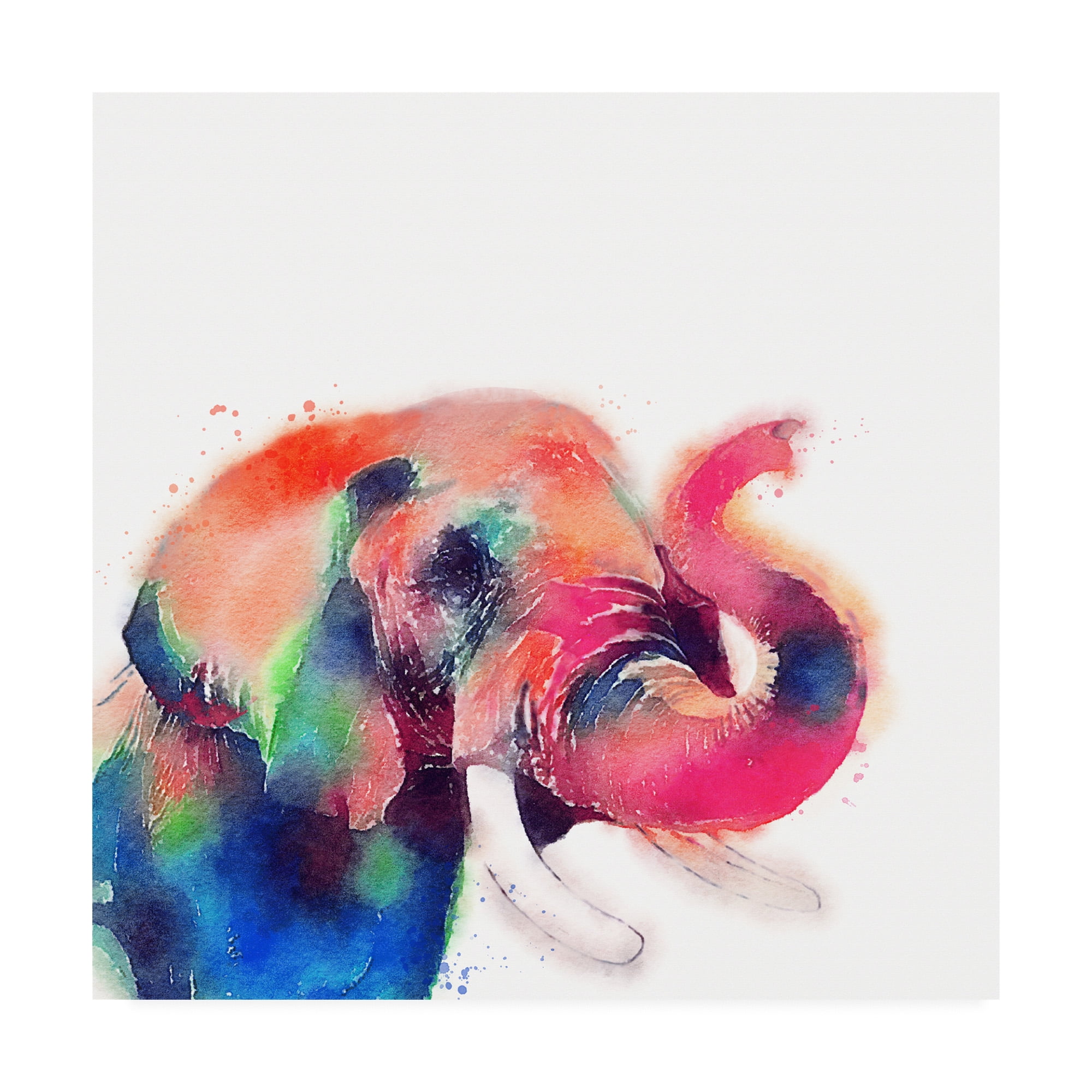 Trademark Fine Art 'The Majestic II' Canvas Art by Jacqueline Maldonad