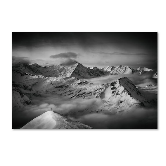 Trademark Fine Art 'The Man And His Dream' Canvas Art by Peter Svoboda