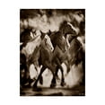 thumbnail image 1 of Trademark Fine Art 'The March' Canvas Art by David Drost, 1 of 4