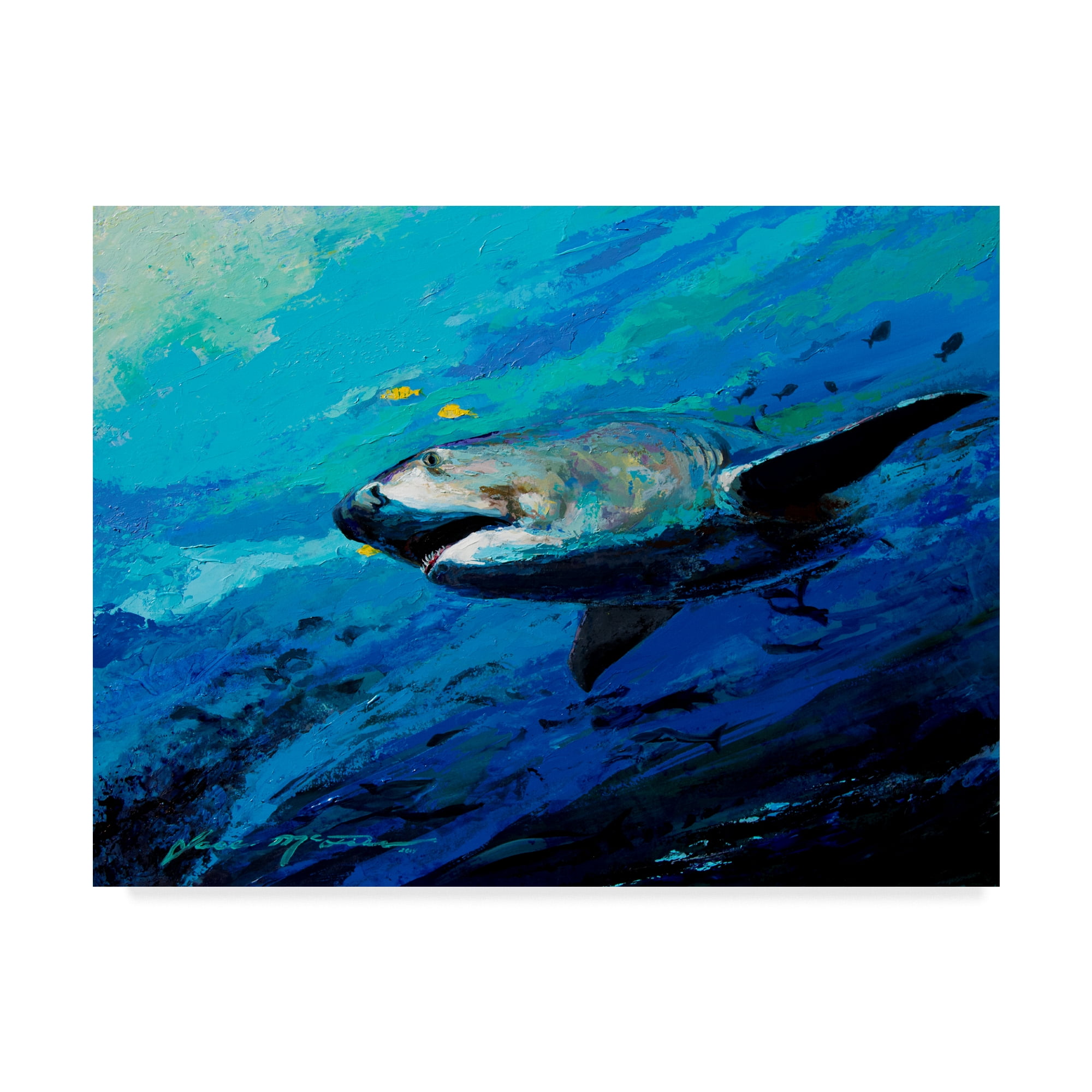 Trademark Fine Art 'The Mighty Bull Shark' Canvas Art by Jace D. Mctier