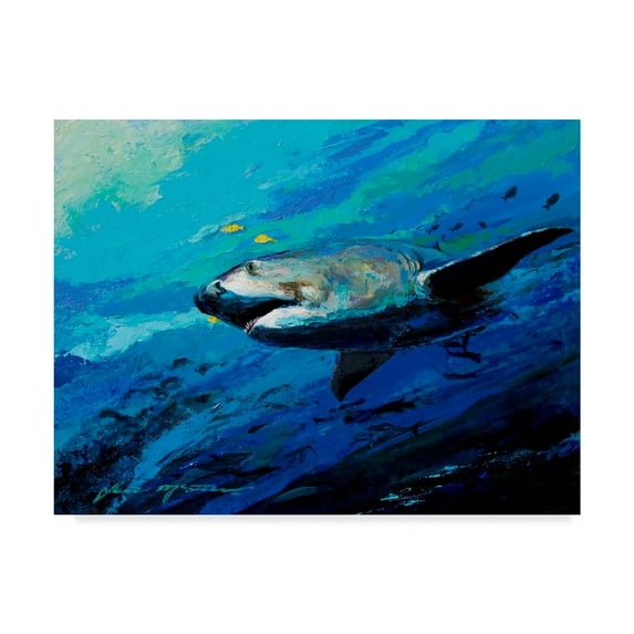Trademark Fine Art 'The Mighty Bull Shark' Canvas Art by Jace D. Mctier