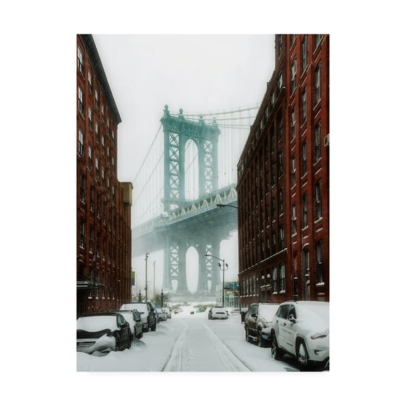 Trademark Fine Art 'The New York Blizzard' Canvas Art by Bruce Gett