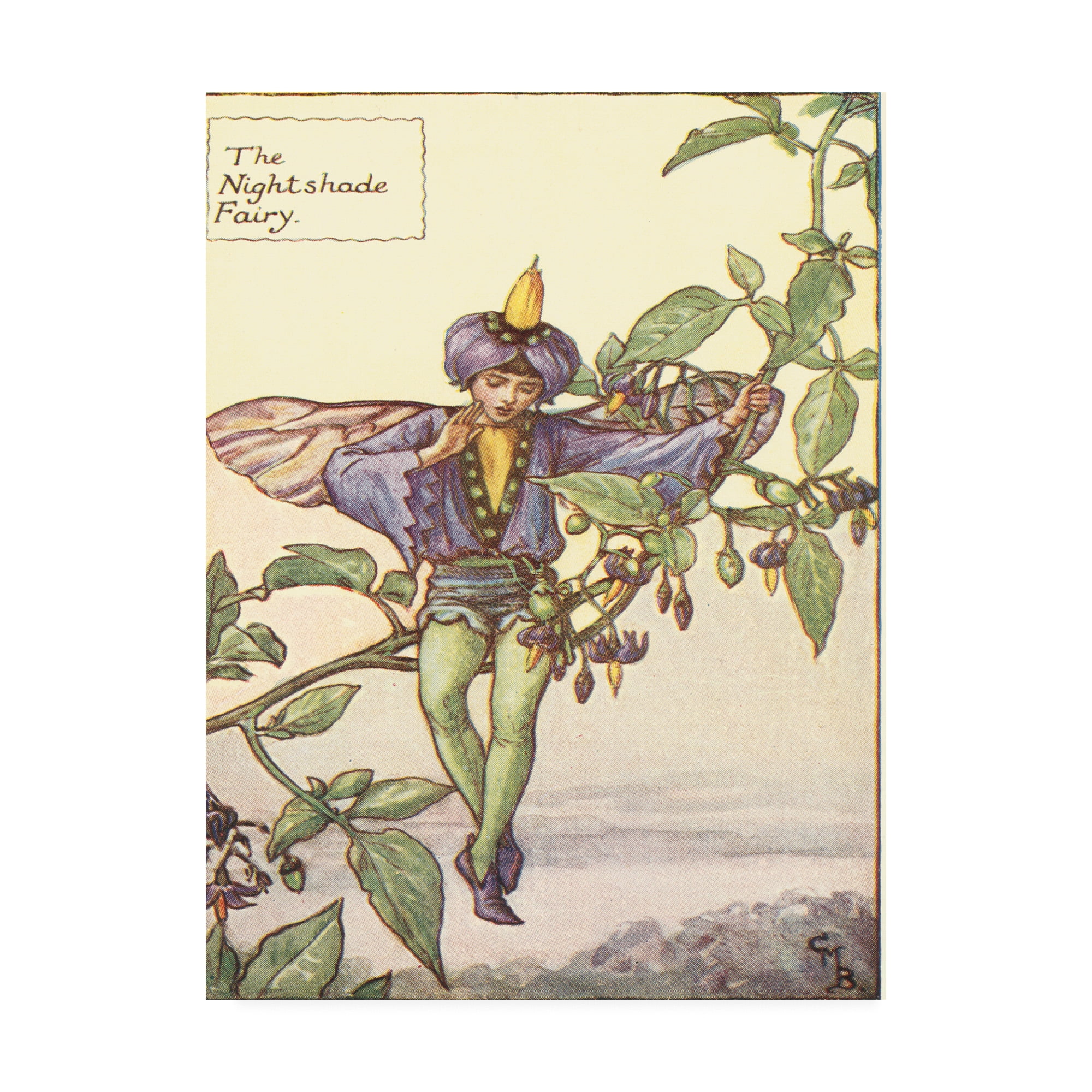 Trademark Fine Art 'The Nightshade Fairy' Canvas Art by Vision Studio