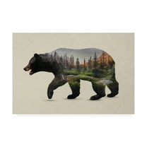 Trademark Fine Art 'The North American Black Bear' Canvas Art by Davies Babies