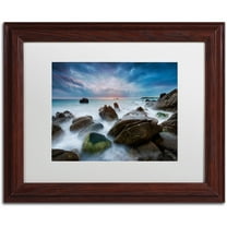 Trademark Fine Art "The Ocean Dream" Canvas Art by Mathieu Rivrin, White Matte, Wood Frame