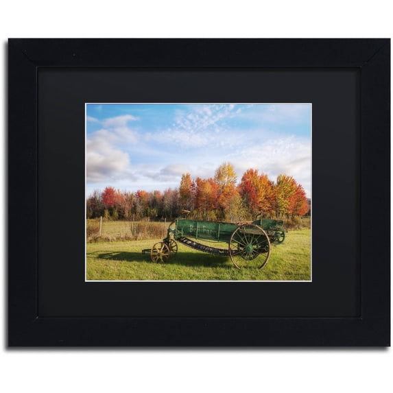Trademark Fine Art 'The Old Rake' Canvas Art by Michael Blanchette Photography, Black Matte, Black Frame