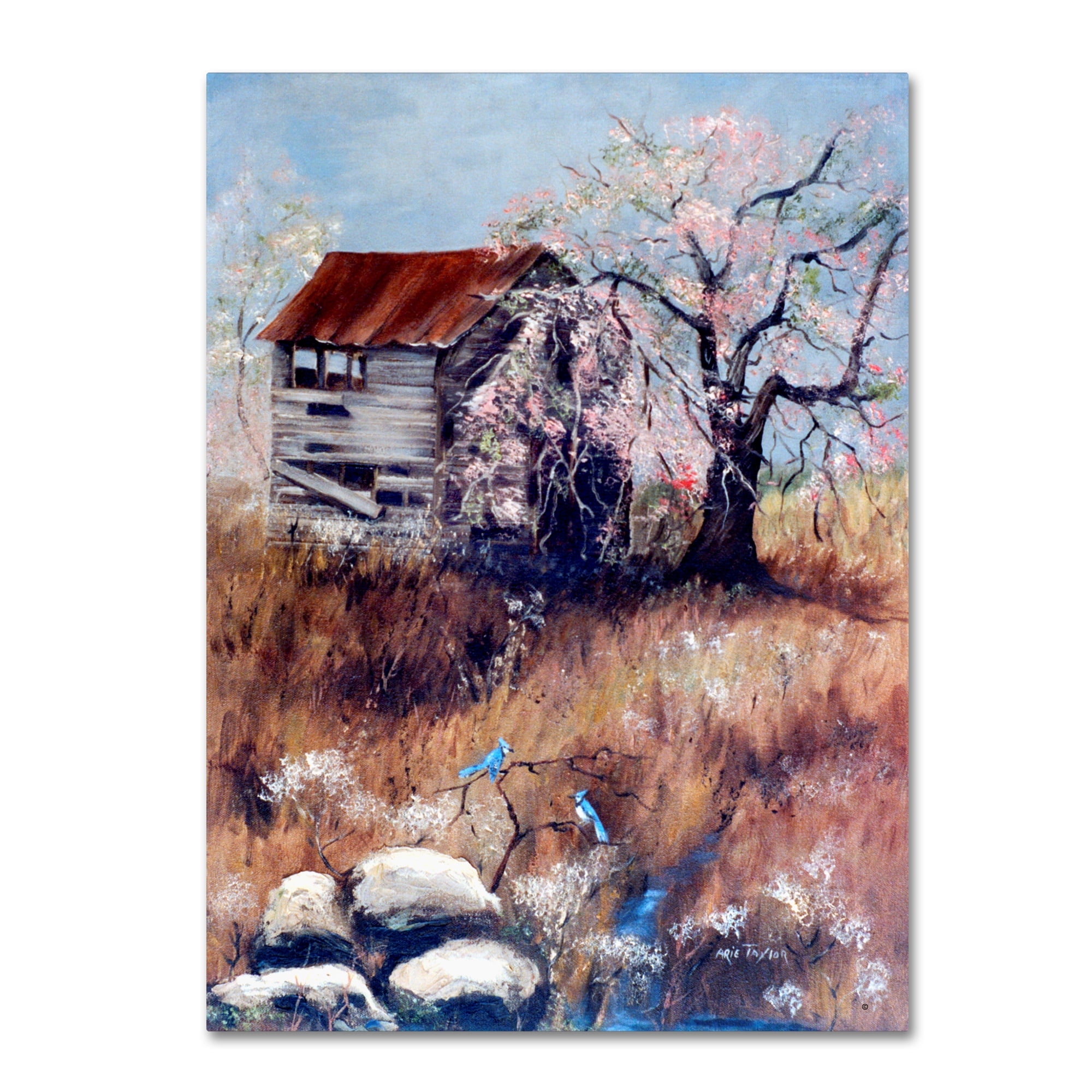 Trademark Fine Art 'The Old Tater House' Canvas Art by Arie Reinhardt Taylor