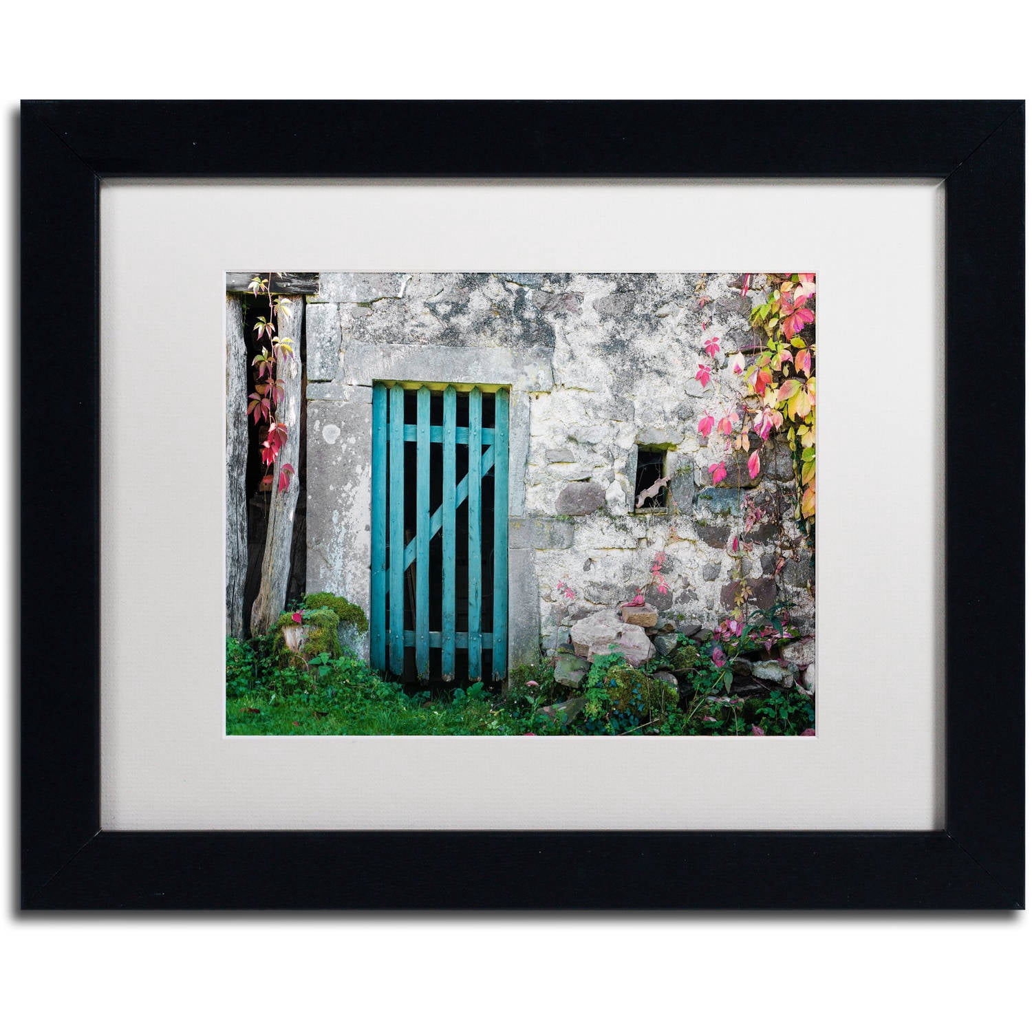 Trademark Fine Art "The Old Wooden Door" Canvas Art by Philippe Sainte-Laudy White Matte, Black Frame
