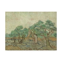 Trademark Fine Art 'The Olive Orchard' Canvas Art by Vincent Van Gogh