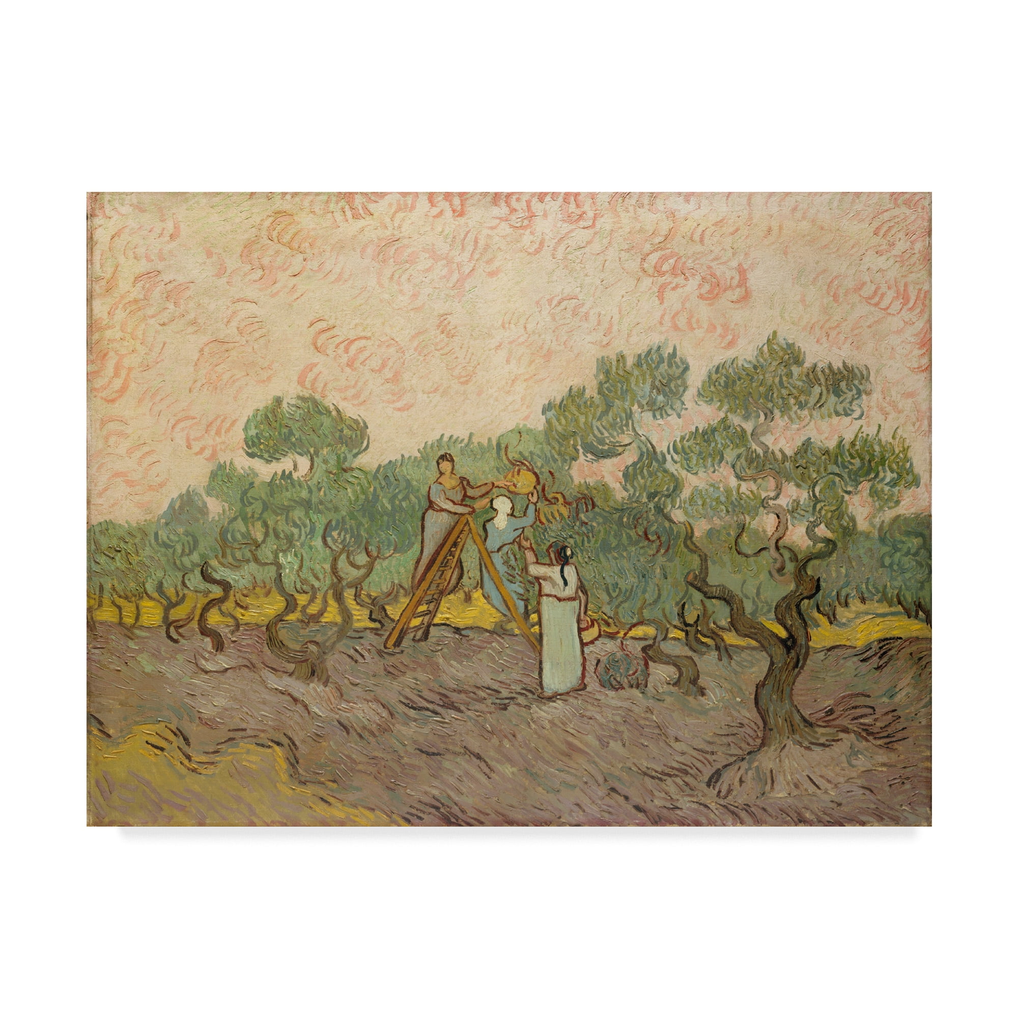 Trademark Fine Art 'The Olive Pickers Saintremy' Canvas Art by Vincent Van Gogh