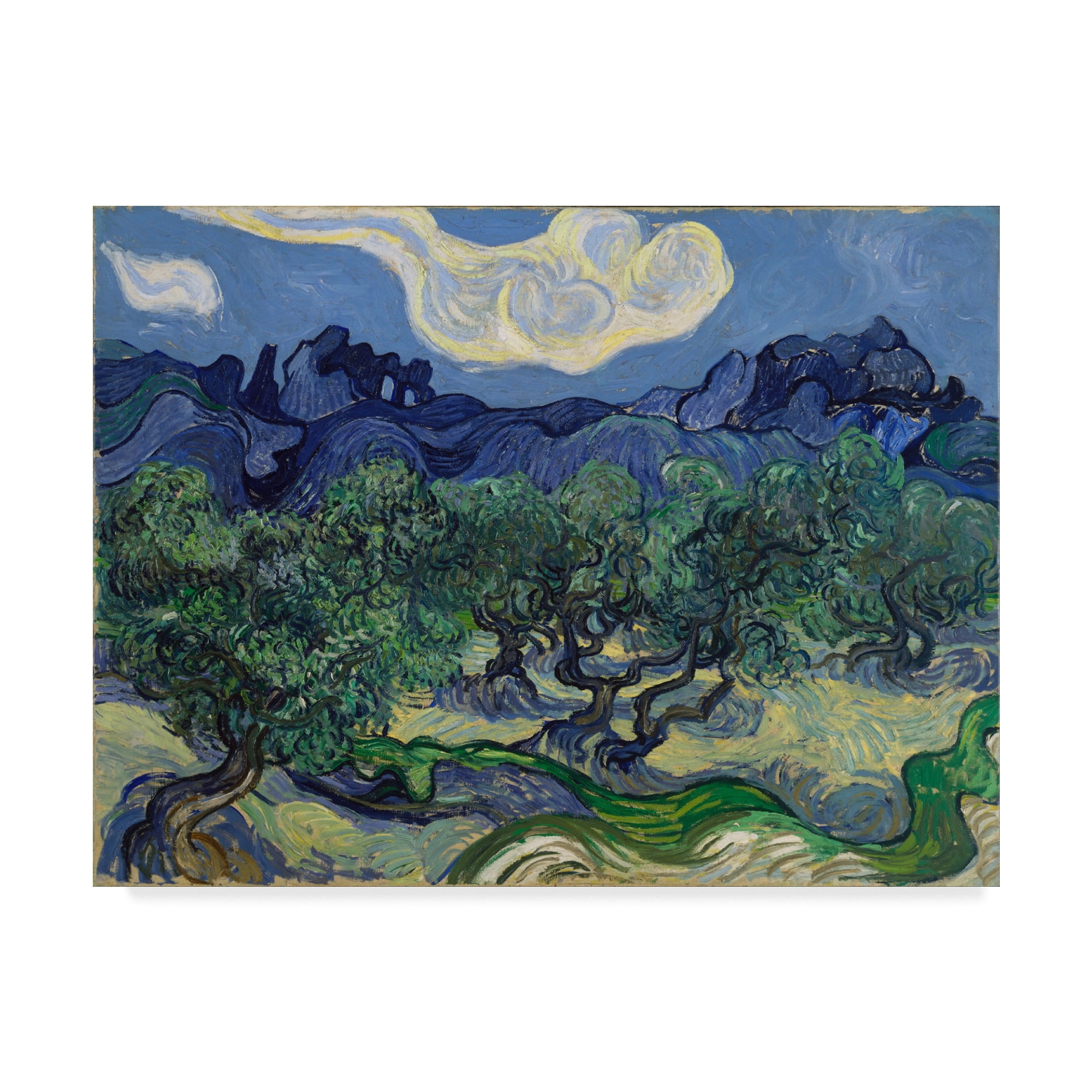 Trademark Fine Art 'The Olive Trees' Canvas Art by Vincent Van Gogh