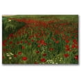 thumbnail image 1 of Trademark Fine Art "The Poppy Field 1896" Canvas Wall Art by Pal Szinyei Merse, 1 of 4