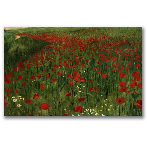Trademark Fine Art "The Poppy Field 1896" Canvas Wall Art by Pal Szinyei Merse