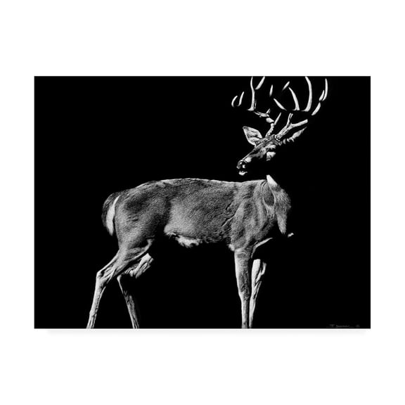 Trademark Fine Art 'The Prize Deer' Canvas Art by Julie Chapman