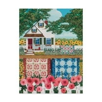 Trademark Fine Art 'The Quilt Garden' Canvas Art by Anthony Kleem