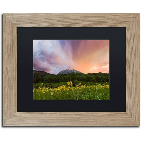 Trademark Fine Art "The Rain Cometh" Canvas Art by Michael Blanchette Photography Black Matte, Birch Frame
