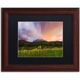 thumbnail image 1 of Trademark Fine Art "The Rain Cometh" Canvas Art by Michael Blanchette Photography Black Matte, Wood Frame, 1 of 1