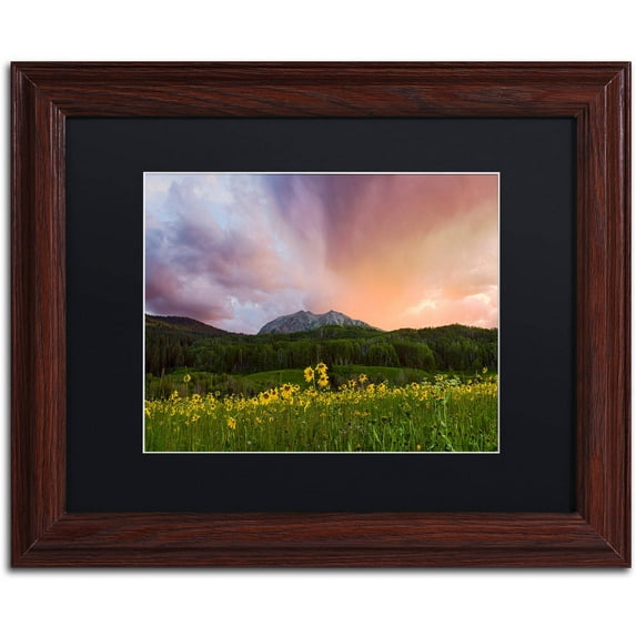 Trademark Fine Art "The Rain Cometh" Canvas Art by Michael Blanchette Photography Black Matte, Wood Frame