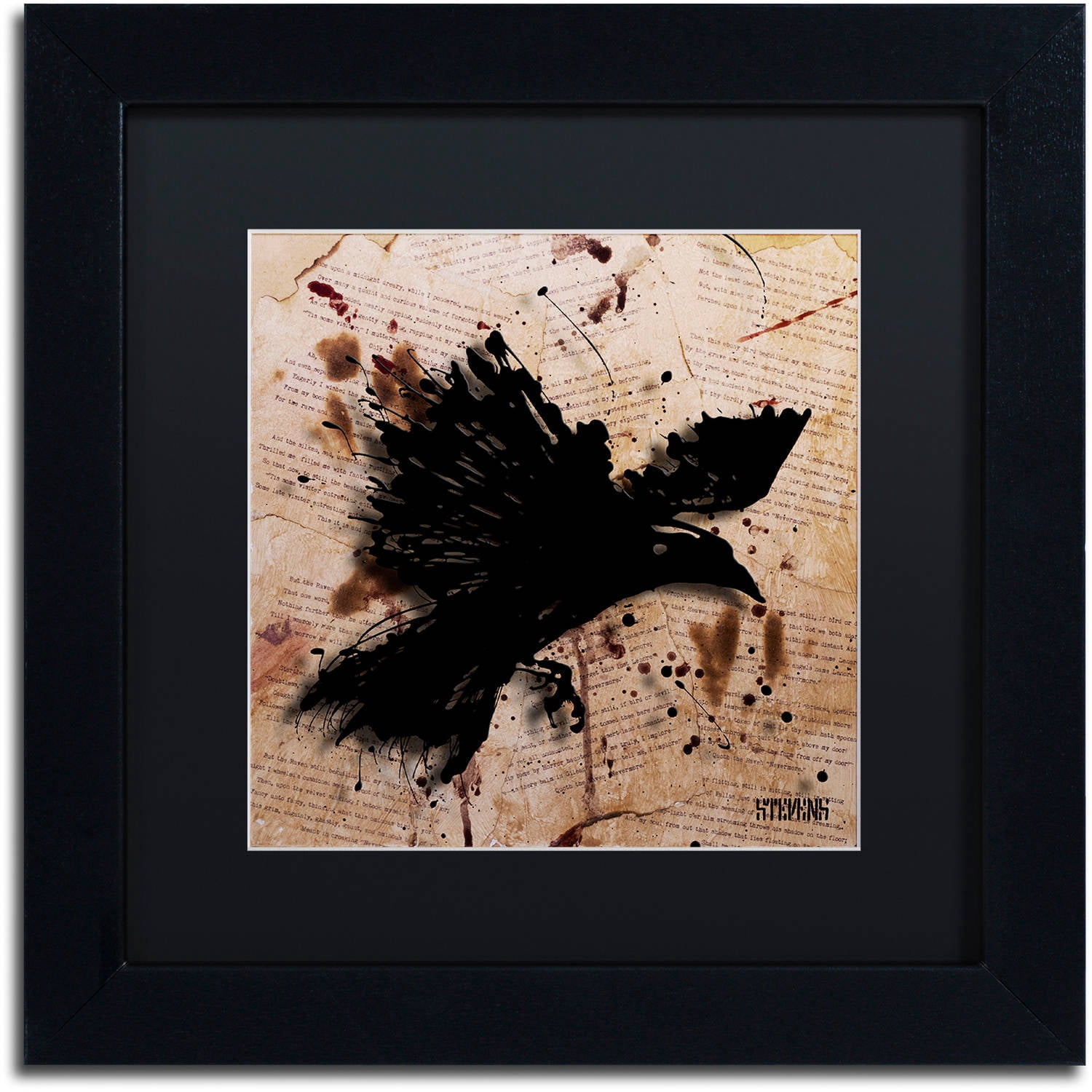 Trademark Fine Art "The Raven 1" Canvas Art by Roderick Stevens, Black Matte, Black Frame