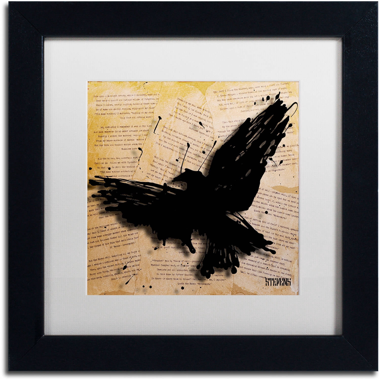 Trademark Fine Art "The Raven 2" Canvas Art by Roderick Stevens, White Matte, Black Frame
