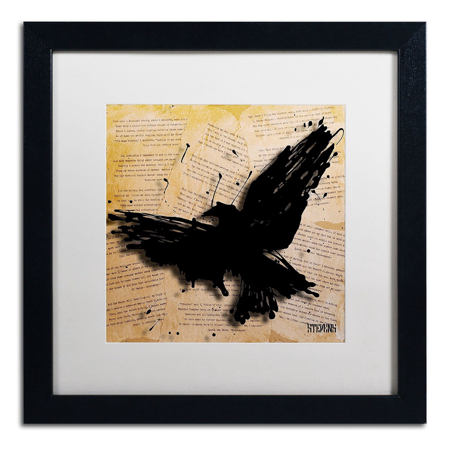 Trademark Fine Art "The Raven 2" Canvas Art by Roderick Stevens, White Matte, Black Frame