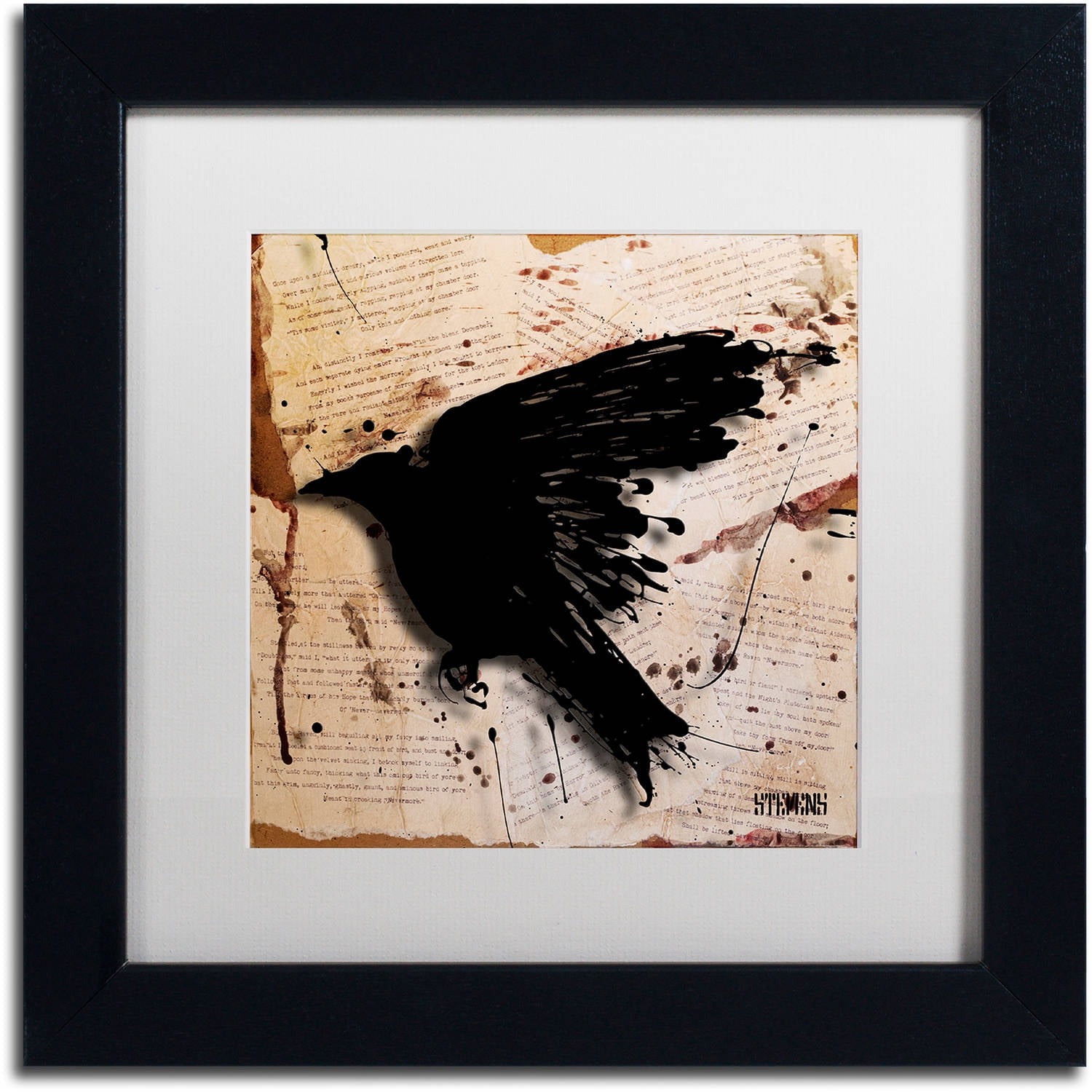 Trademark Fine Art "The Raven 3" Canvas Art by Roderick Stevens, White Matte, Black Frame