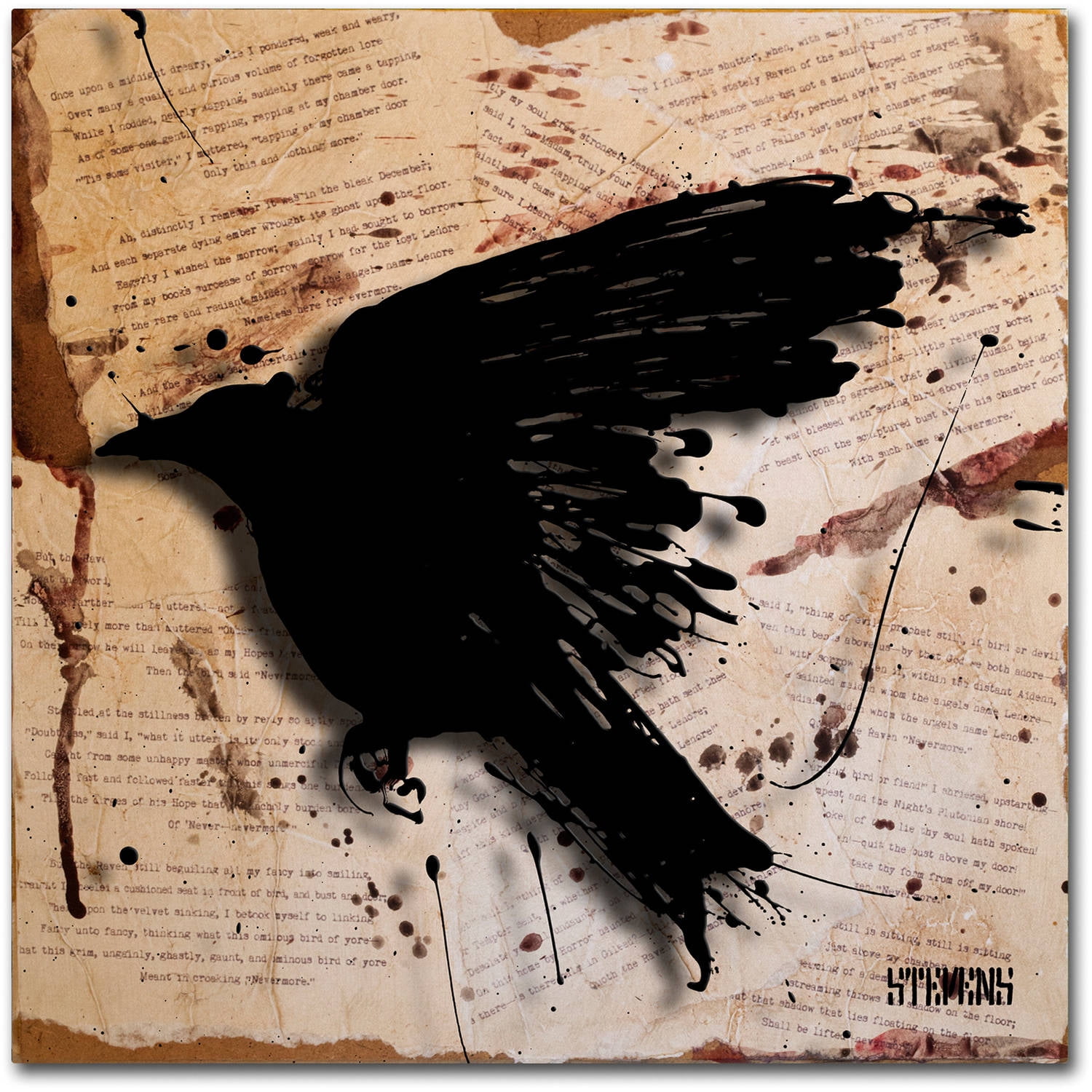 Trademark Fine Art "The Raven 3" Canvas Art by Roderick Stevens