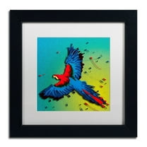 Trademark Fine Art "The Raven 4" Canvas Art by Roderick Stevens, White Matte, Black Frame